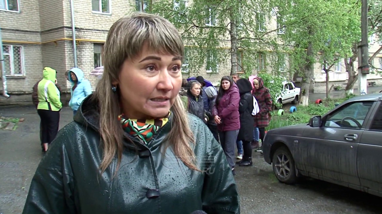 В Златоусте бродячие собаки напали на 8-летнюю девочку