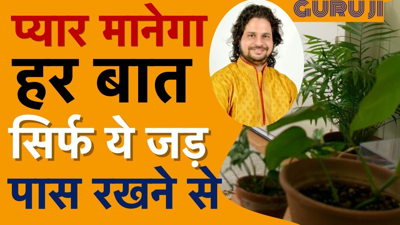 प्यार दिलाने वाली जड़ Vegetation (वनस्पति) VASHIKARAN
