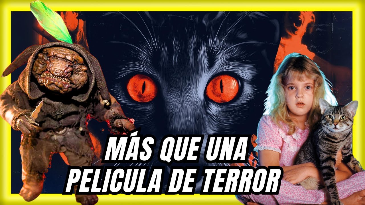 EL OJO DEL GATO de STEPHEN KING (1985) Resumen y curiosidades