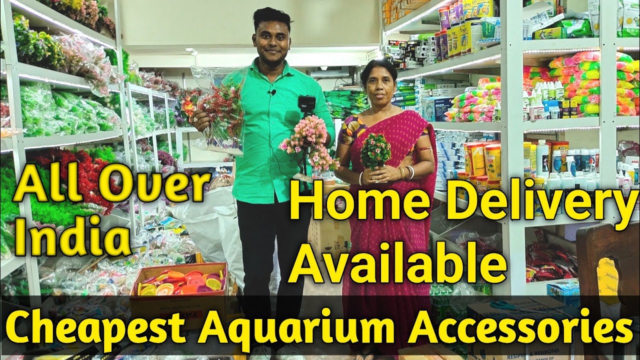 Cheapest Aquarium Fish Accessories In Kolkata ||Fish Food,Birds Food,Turtle Food Available For All |
