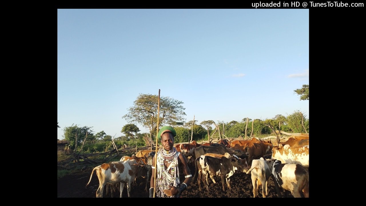 NZALA YA NG'OMBE ~ Nziku Jakwe