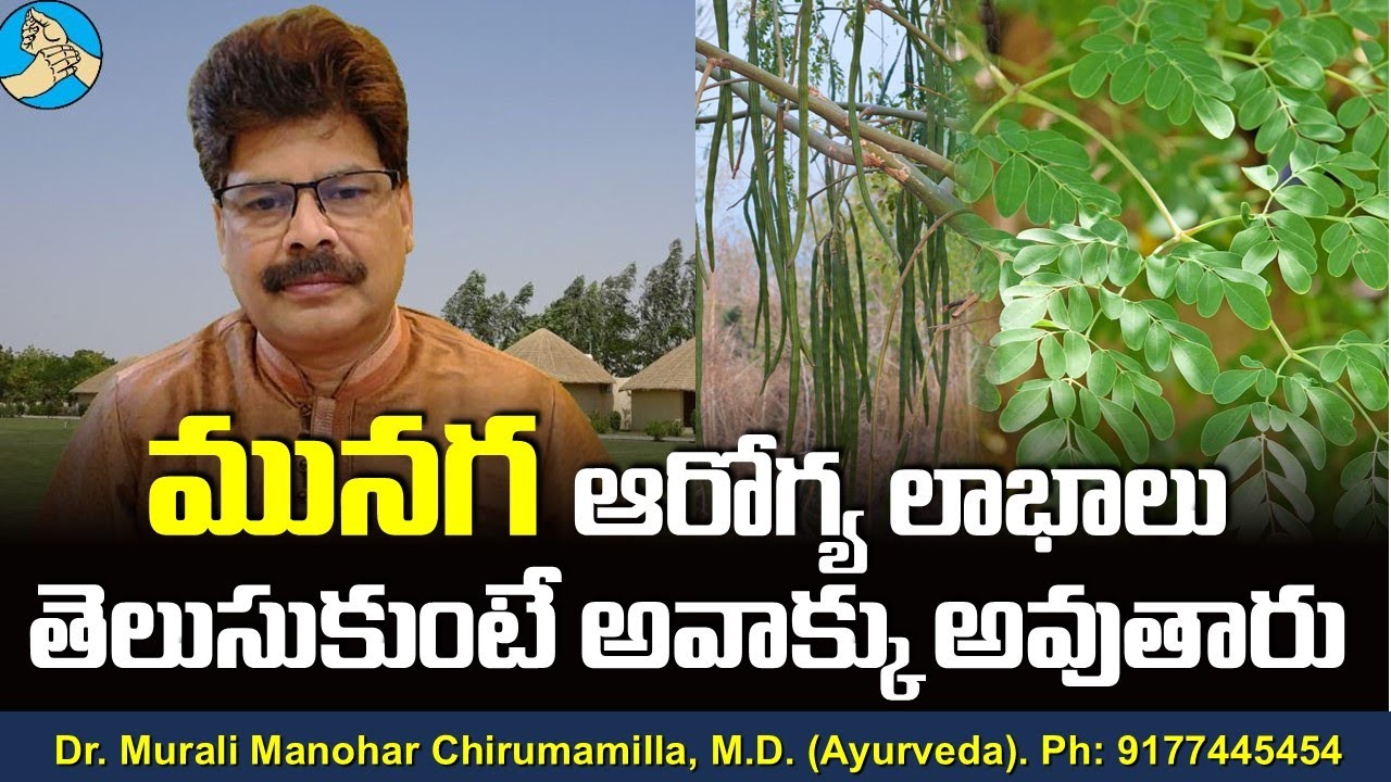 మునగ ఆరోగ్య లాభాలు తెలుసుకుంటే అవాక్కు అవుతారు! Health benefits of Moringa.