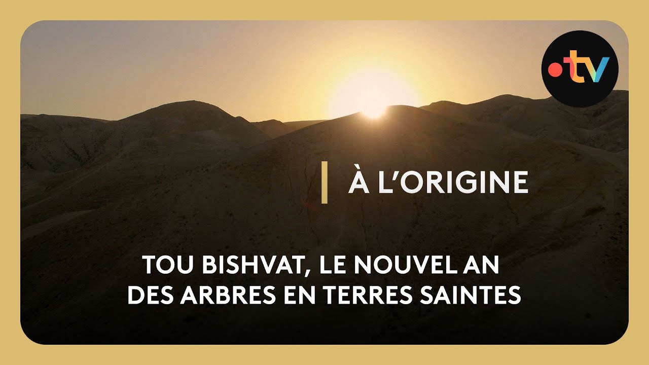 Tou Bishvat, le nouvel an des arbres en terres saintes