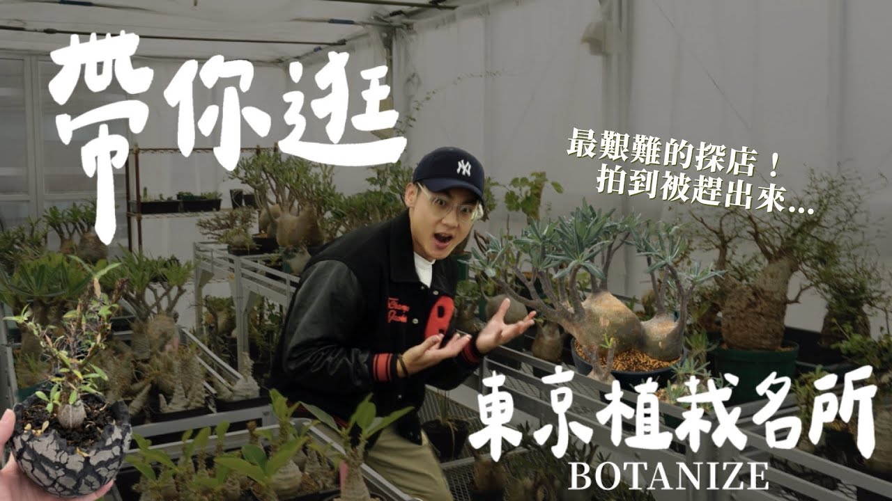 探訪東京植栽名所！夢想の塊根都在這！此趟日本最艱難探店！最後被店員趕出來..😰｜Botanize 白金店【東京特輯🇯🇵Ep03】