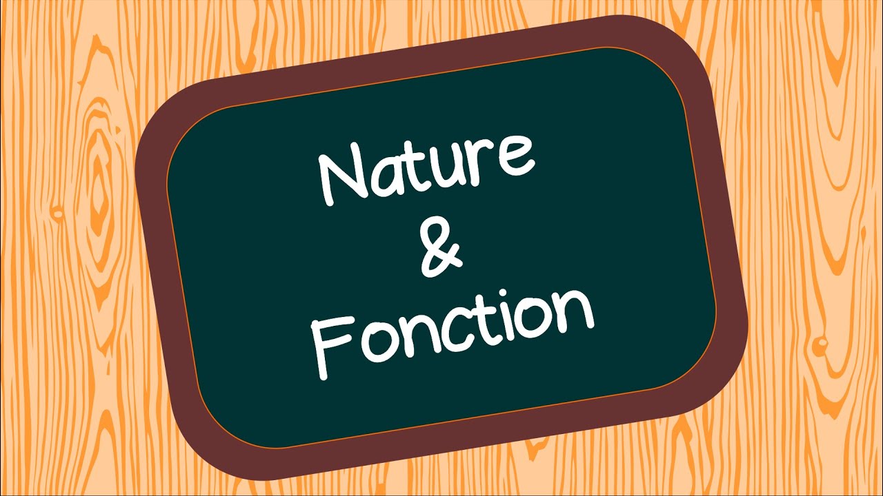 Nature et Fonction