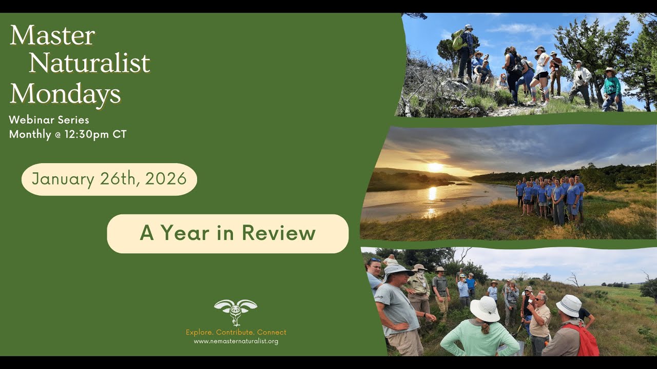A Year in Review: 2025