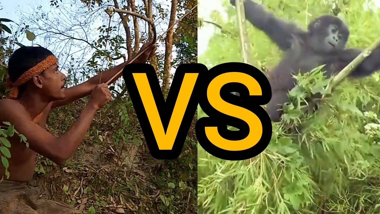 Ca&ccedil;ador Cara a Cara com uma Criatura Desconhecida #Ca&ccedil;a #Mist&eacute;rio #Natureza #Selvagem