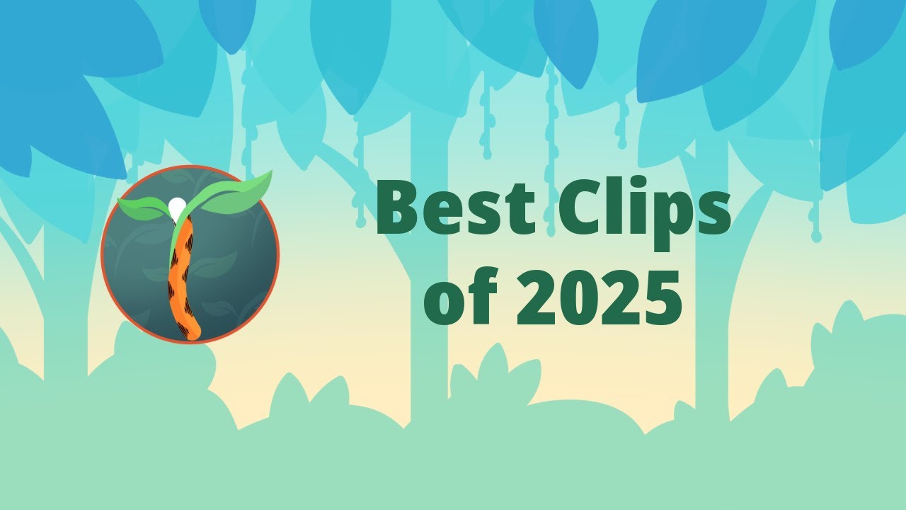 Tiger's Top Clips of 2025