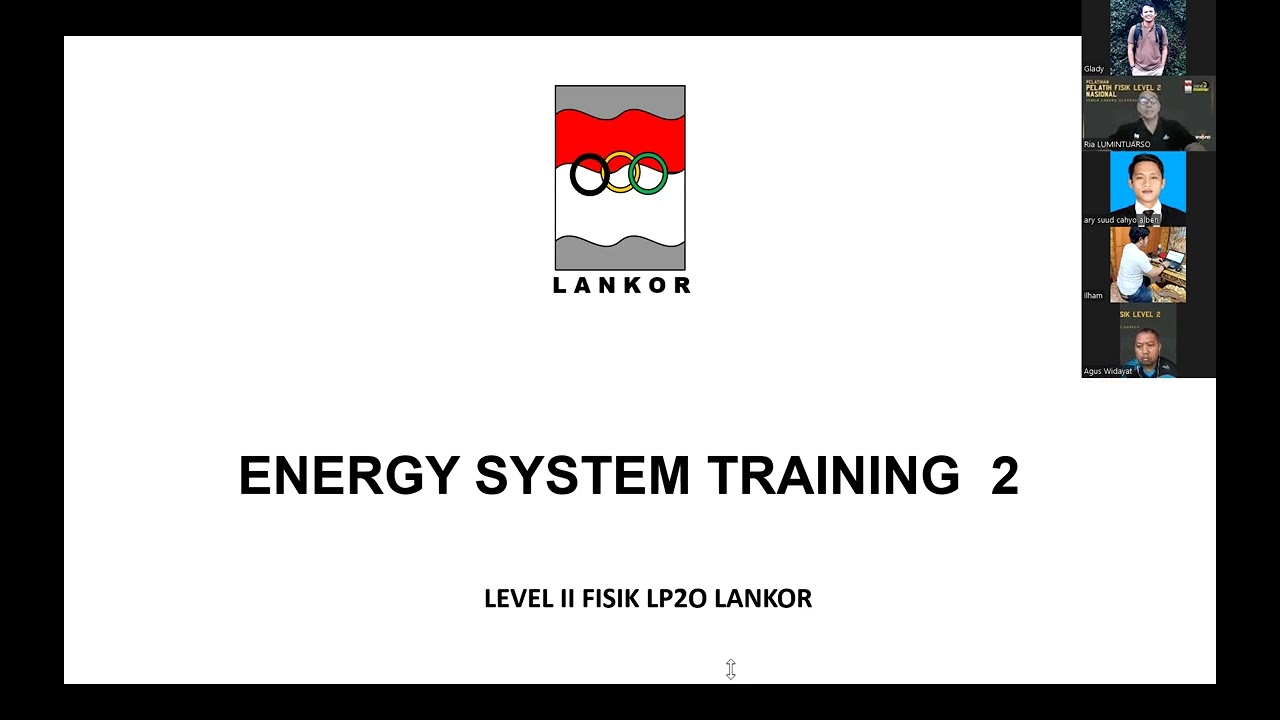 Pel Fis  Energy System 2 (280324)