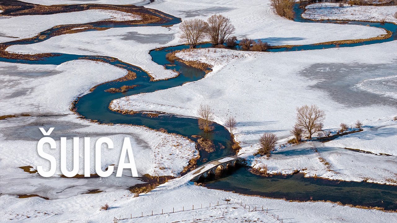 Šuica - Bosna i Hercegovina
