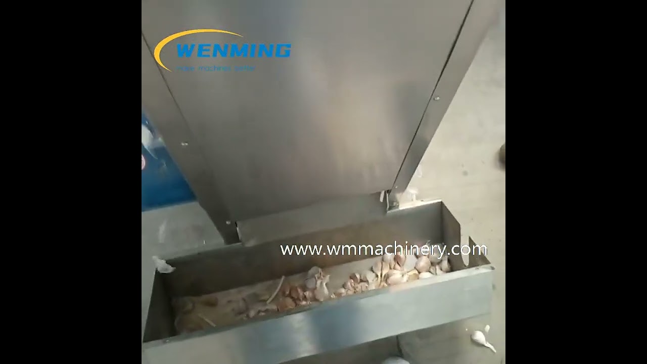 SuS304 Garlic Separating Machine Garlic Bulb Separator Galric Splitter machine