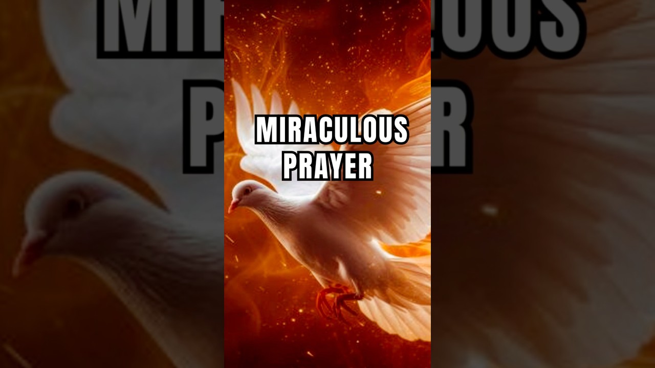 Spiritual Reflection