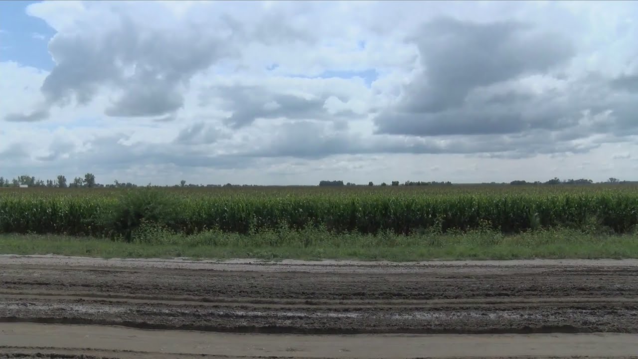 Corn Farmers Received Too Much Financial Help