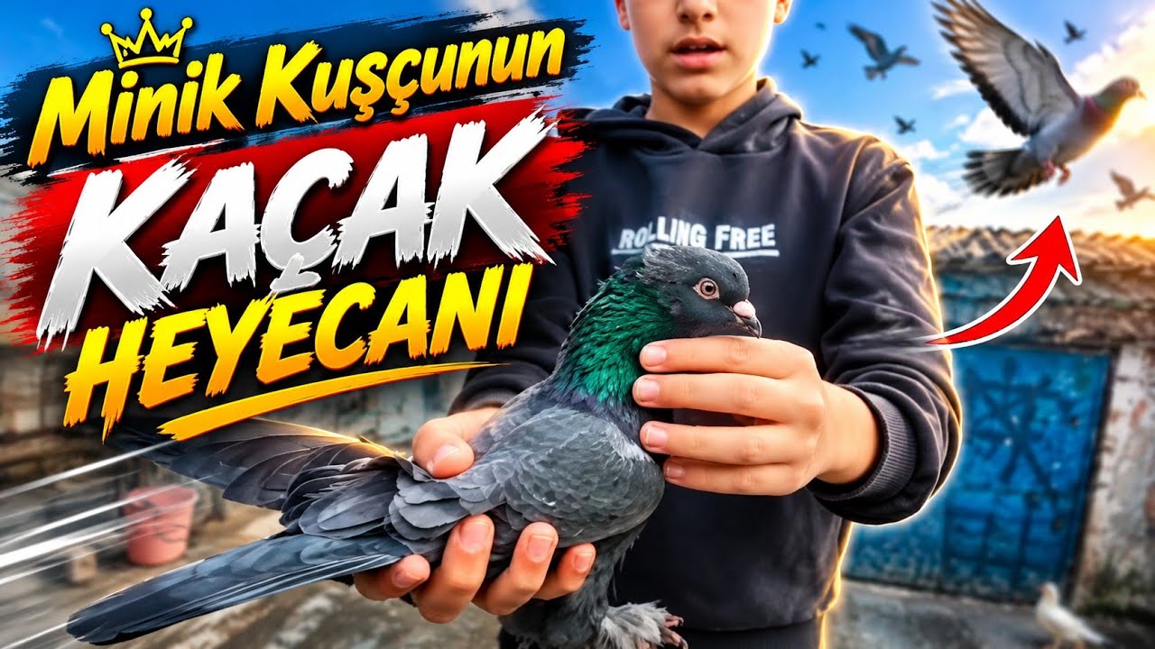 Beklenmedik bir anda harika kostümlü kuş indi