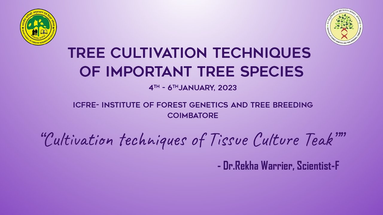 Cultivation techniques of Tissue Culture Teak by Dr. Rekha Warrier, Scientist