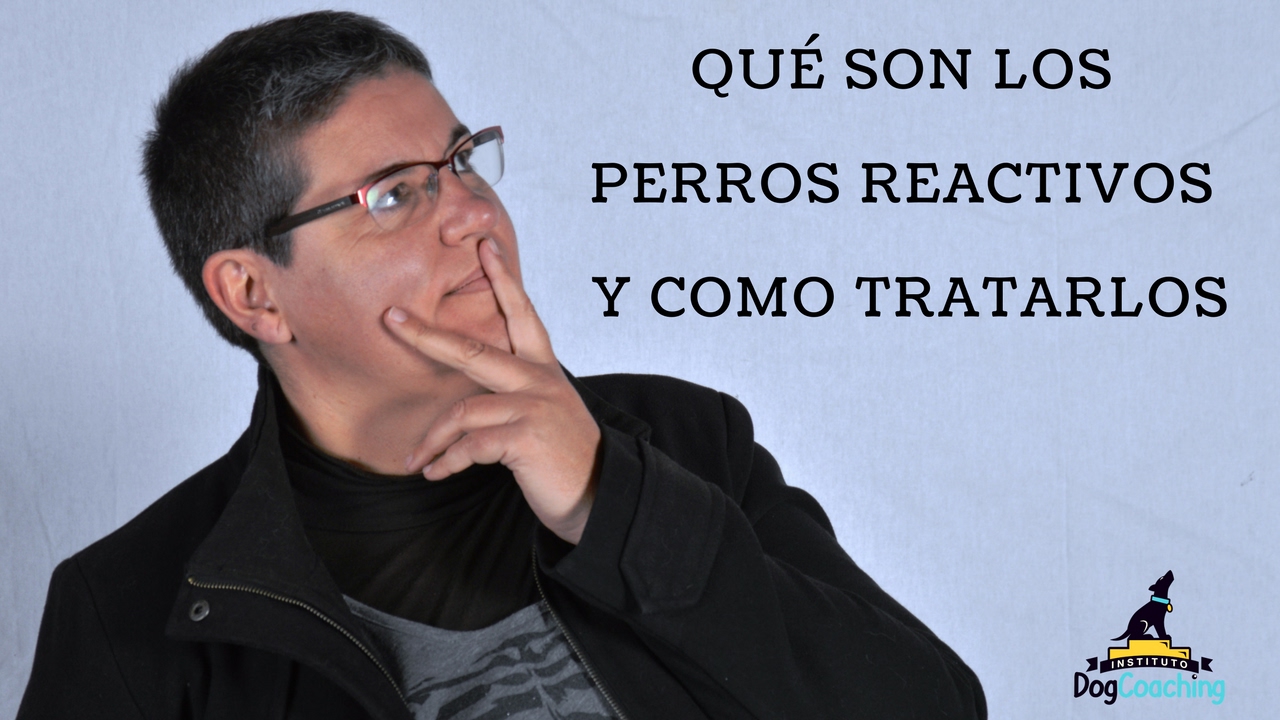 ¿Qué son los PERROS REACTIVOS? 🐶 ¡Aprende cómo ayudarles!