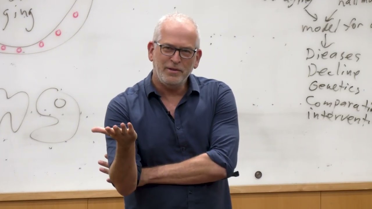 Lecture 2: Molecular Hallmarks of Aging, 25.11.2024 - Systems Aging, Autumn 2024