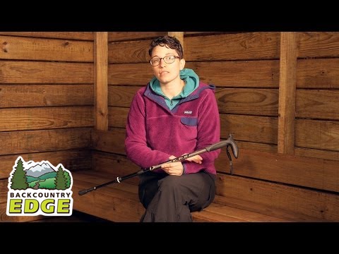 LEKI Wanderfreund Antishock Travel Cane