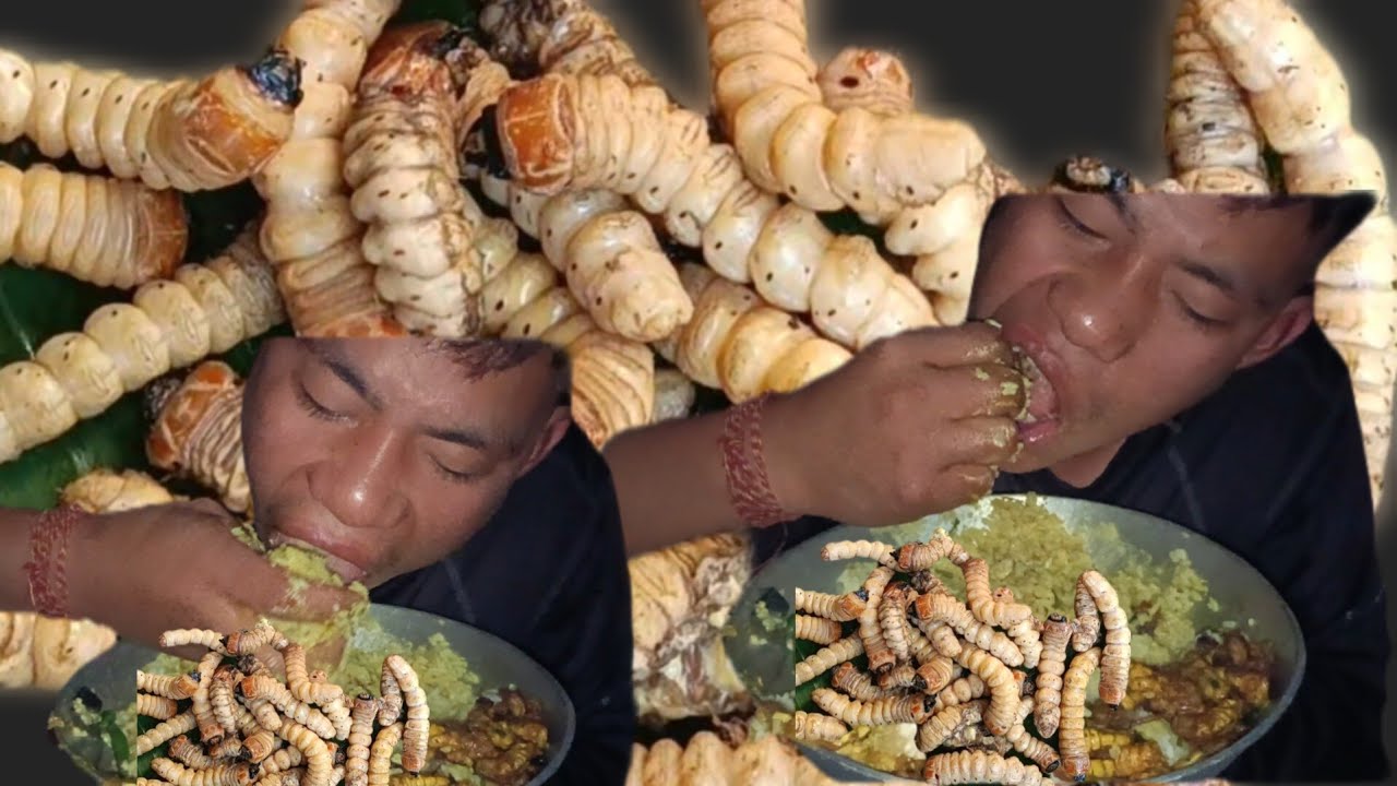 MUKBANG boil fish and  🐛🐛 caterpilla fry 🐛🤤🤤🤤🤤