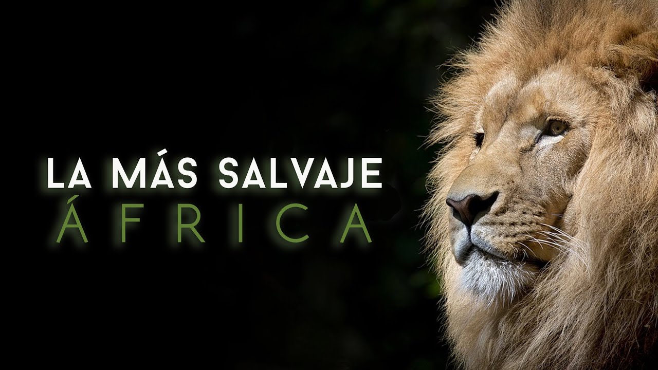 África más salvaje -  Okavango: Agua en el Desierto