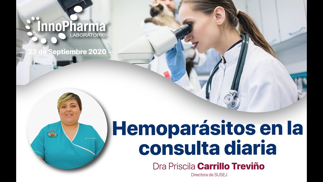 Webinar 23 Sep  