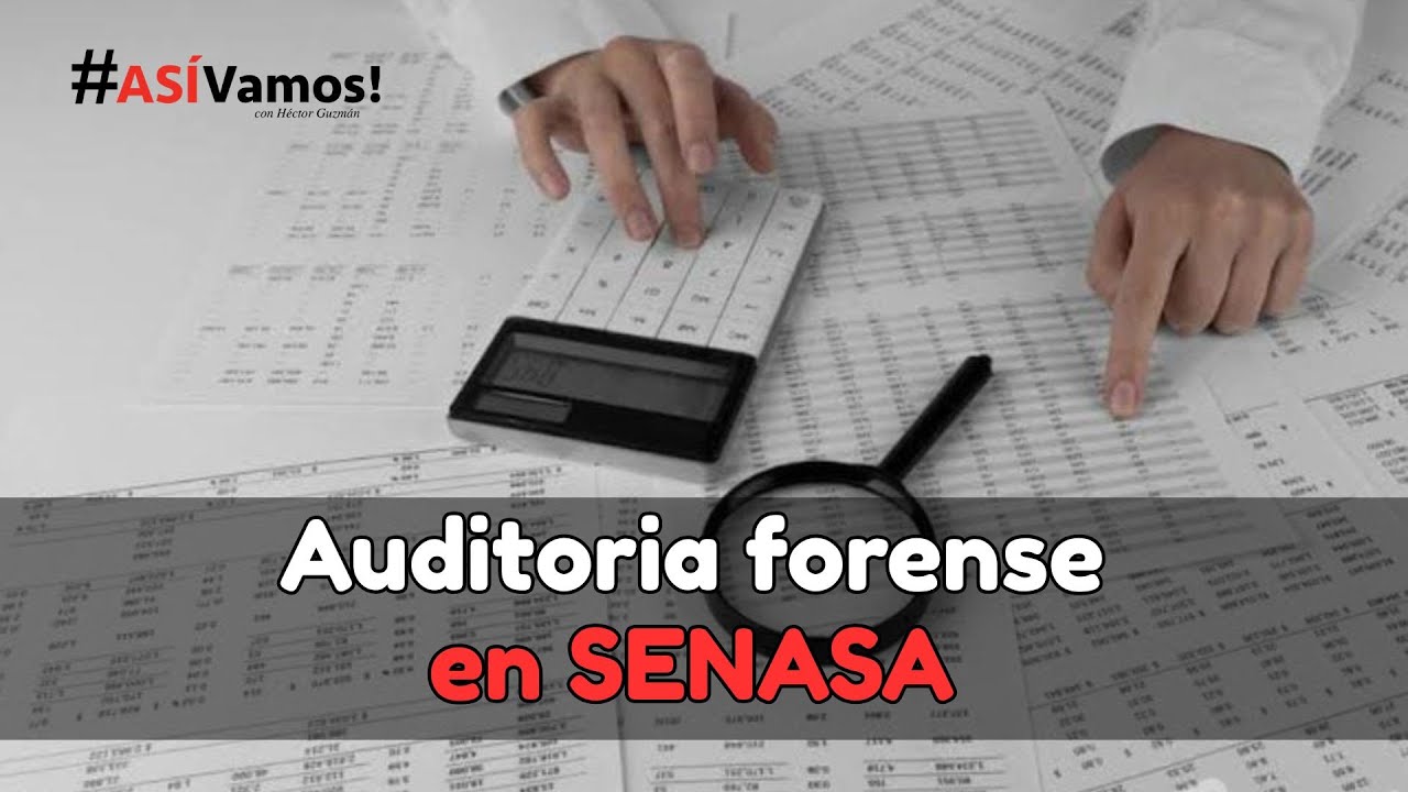 Auditoria forense en SENASA - Así Vamos