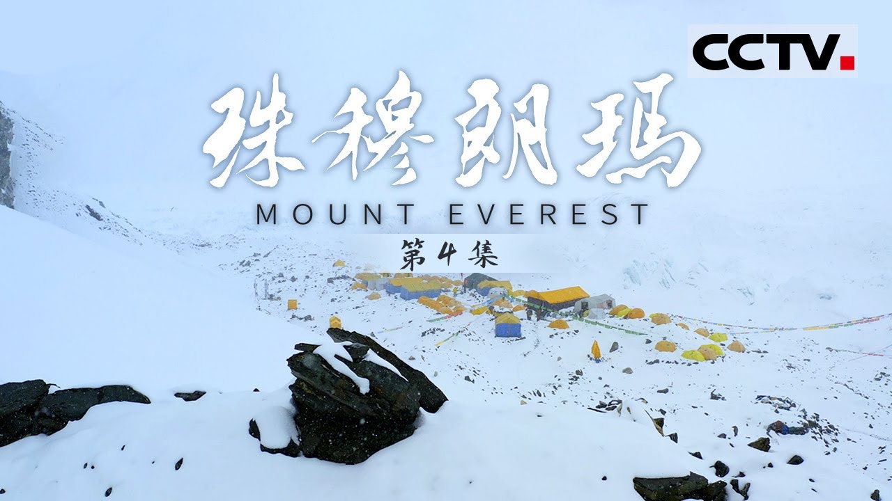 《珠穆朗玛》第4集 生命禁区也有“怒放的生命”！红外相机拍下海拔5200米之上的飞禽猛兽【CCTV纪录】