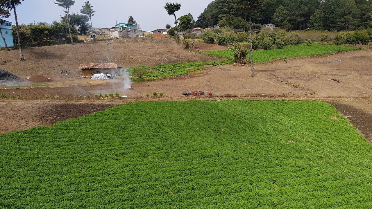 Hotel y Restaurante Lecho de Flores en R&iacute;o Chiquito San Ignacio, Chalatenango 2020
