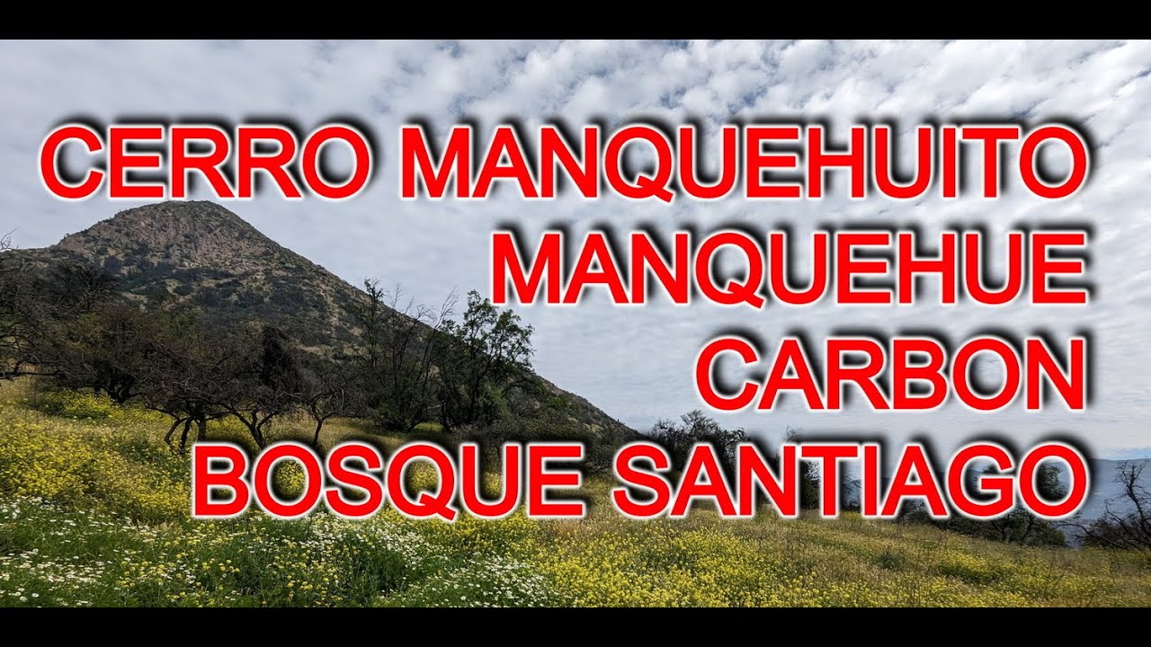COMO LLEGAR AL MANQUEHUITO, MANQUEHUE, CARBON Y BOSQUE SANTIAGO EN MICRO - CHILE 4K