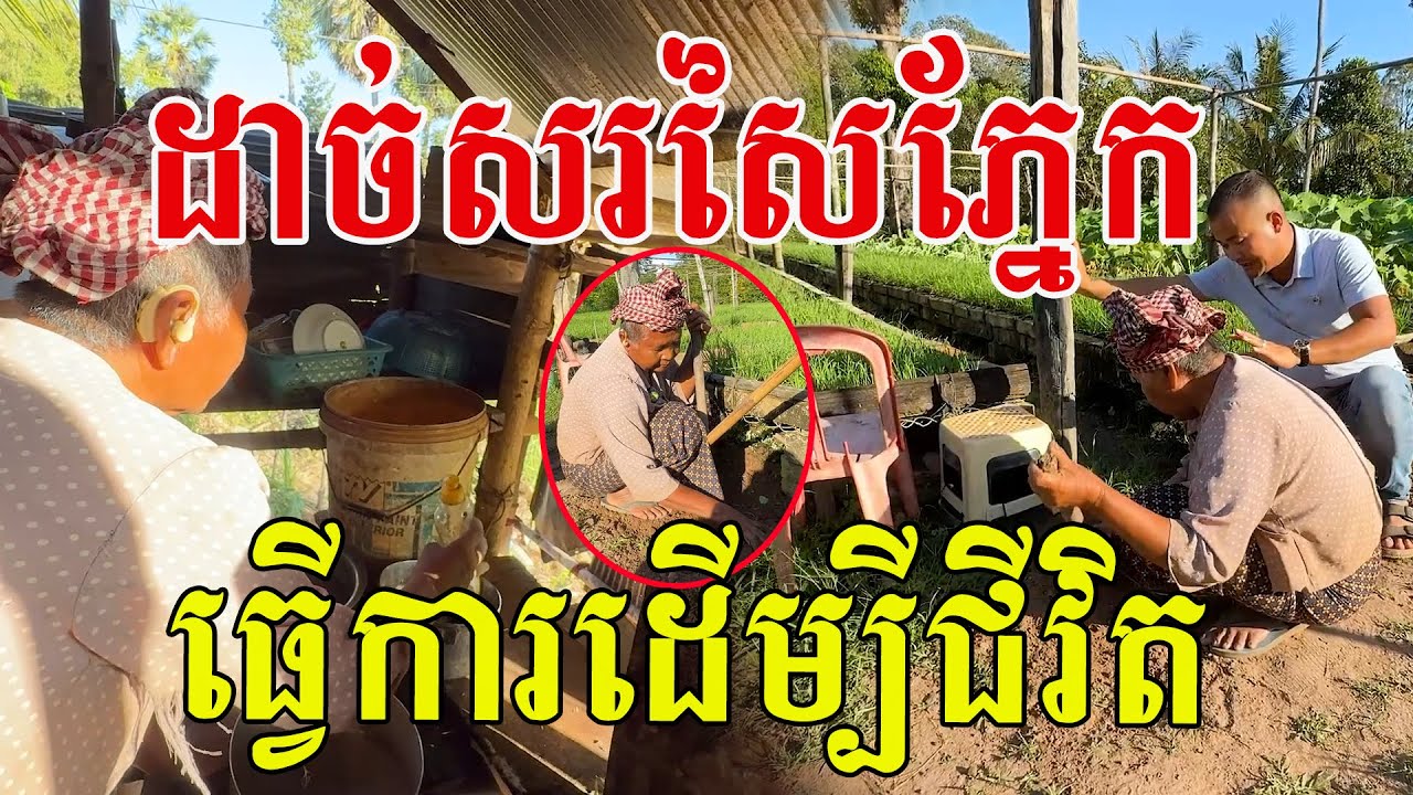 ងងឹតមើលអត់ឃើញ តស៊ូធ្វើការដើម្បីជីវិតតែម្នាក់ឯង