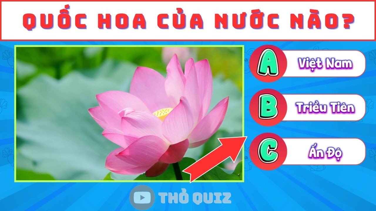 Đoán Quốc Hoa Các Nước | 99% Sai Câu Này 🌸 | Quiz #3|QUIZ #3