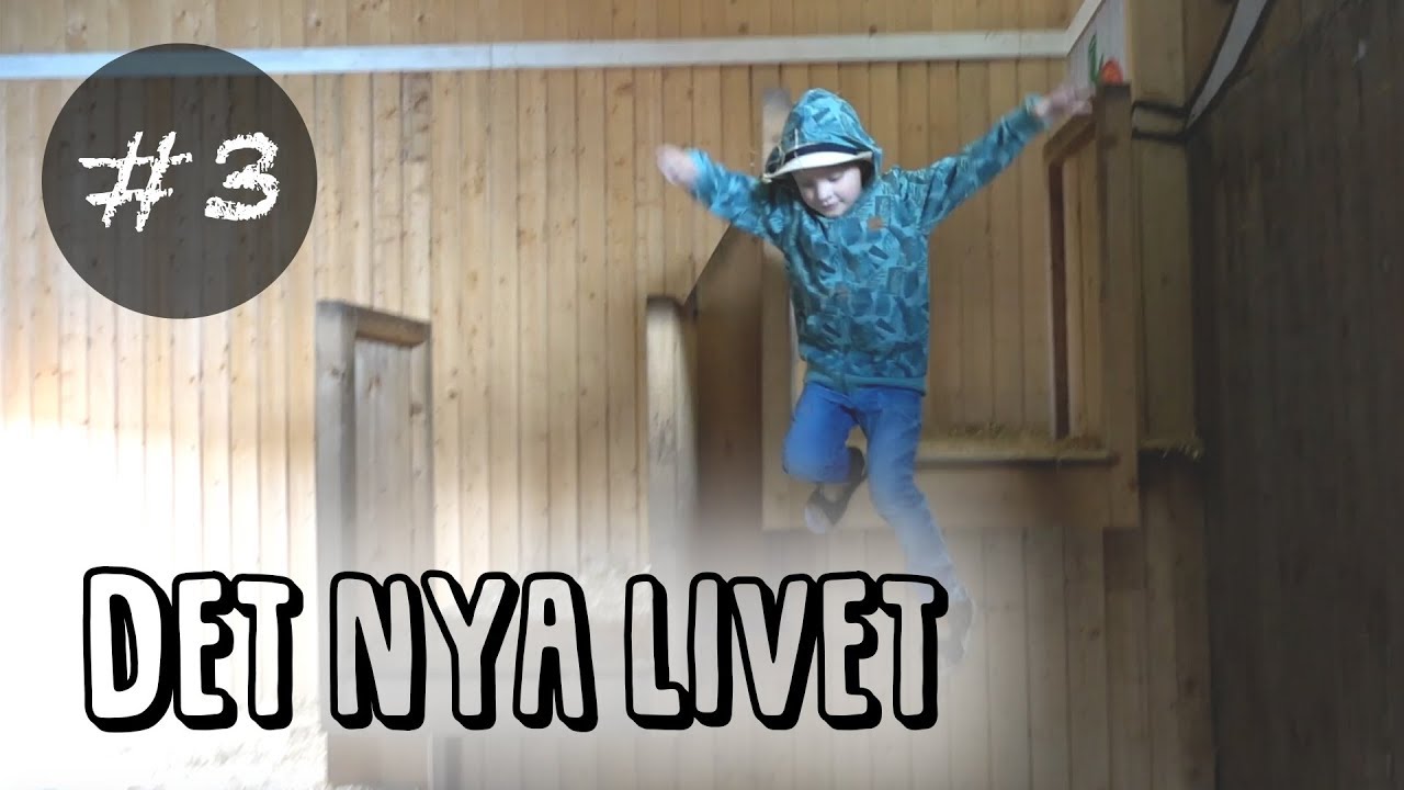 Utflykt till Eriksgården + det nya livet, att satsa på sina drömmar #3