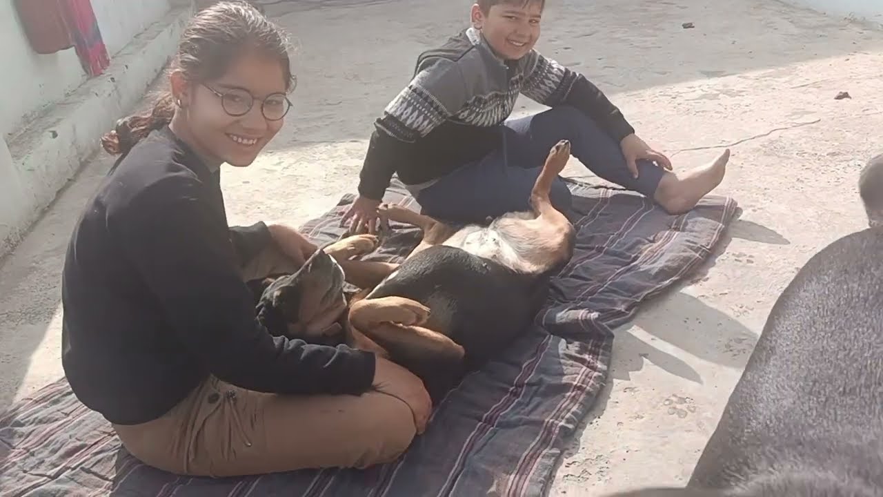 #धूप का मजा लेते हुए मेरे बच्चे 🥰🎊#dogilover 🐕#dogvideos 🐕🐶#minivlog 