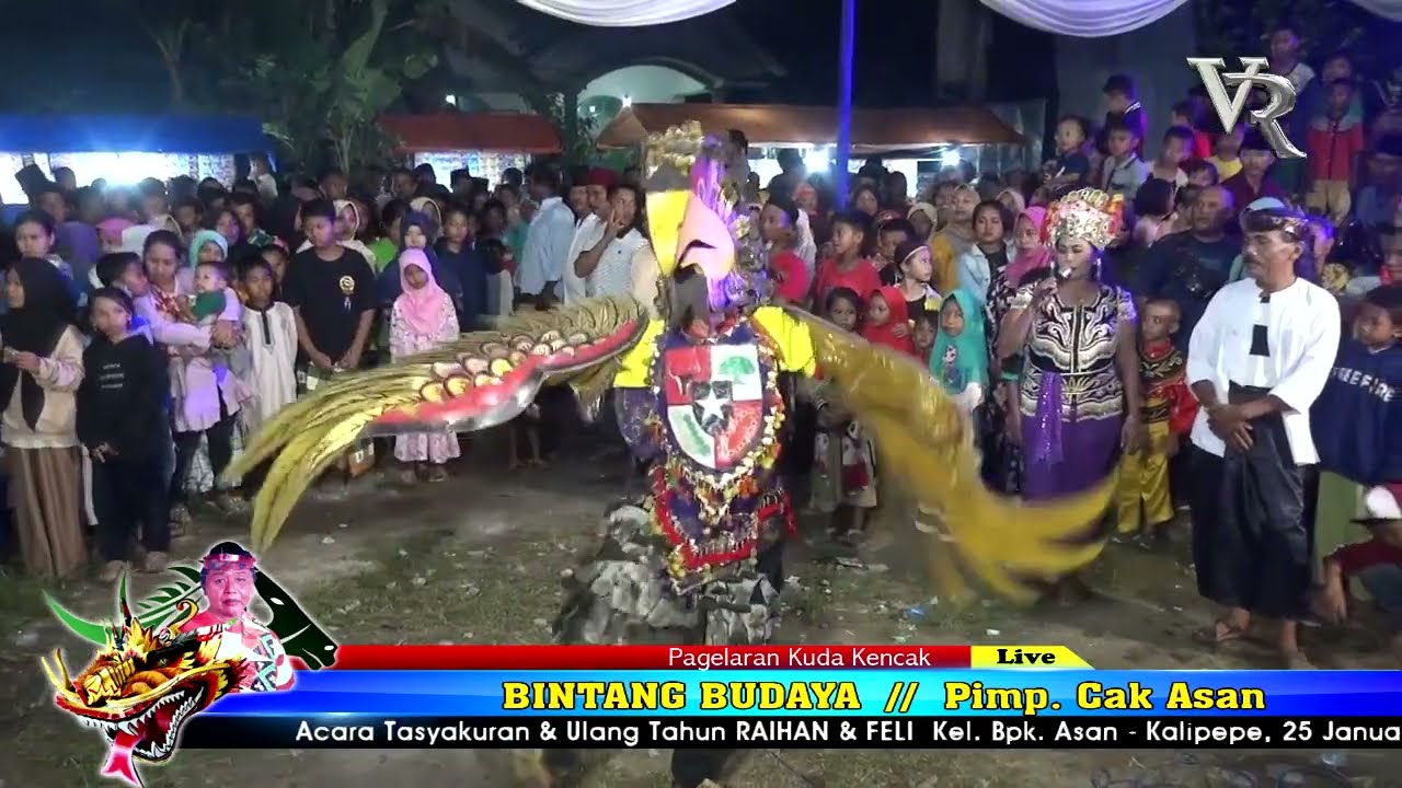 PAGELARAN KUDA KENCAK BINTANG BUDAYA // PIMPINAN CAK ASAN KALIPEPE - YOSOWILANGUN - LUMAJANG