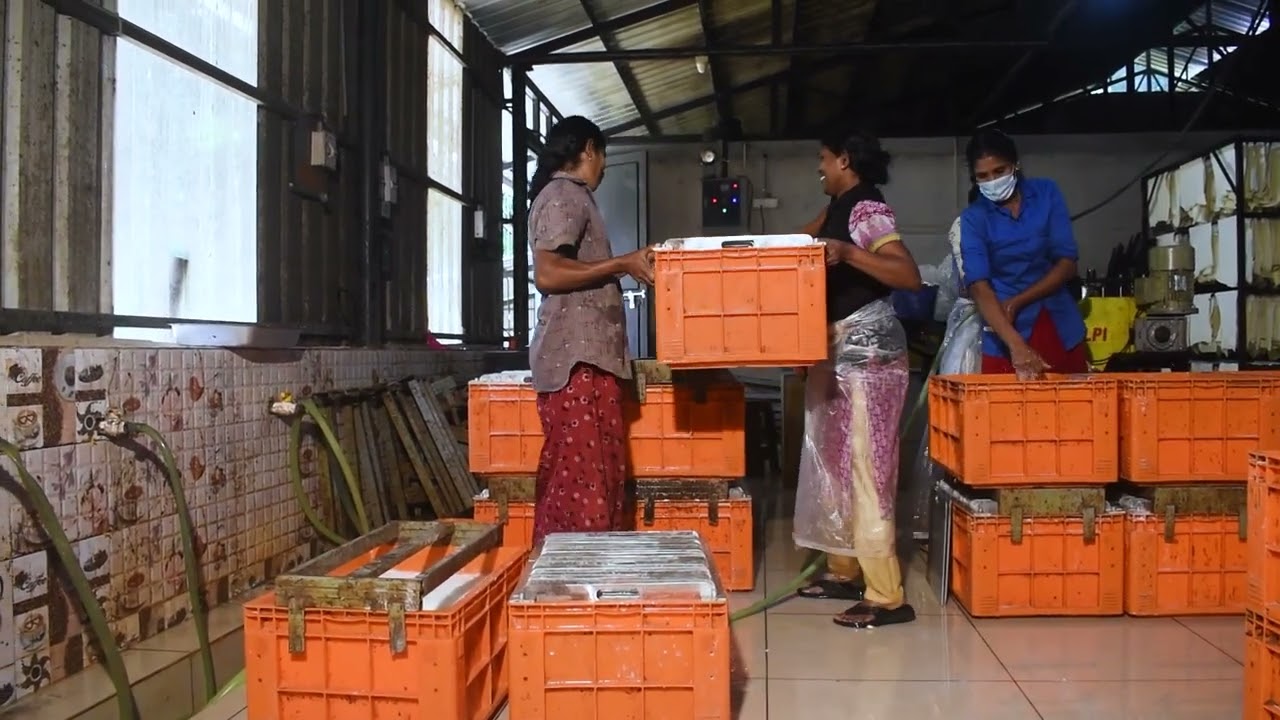 Introducing our Plastic Crate/ Trough for Latex Coagulation