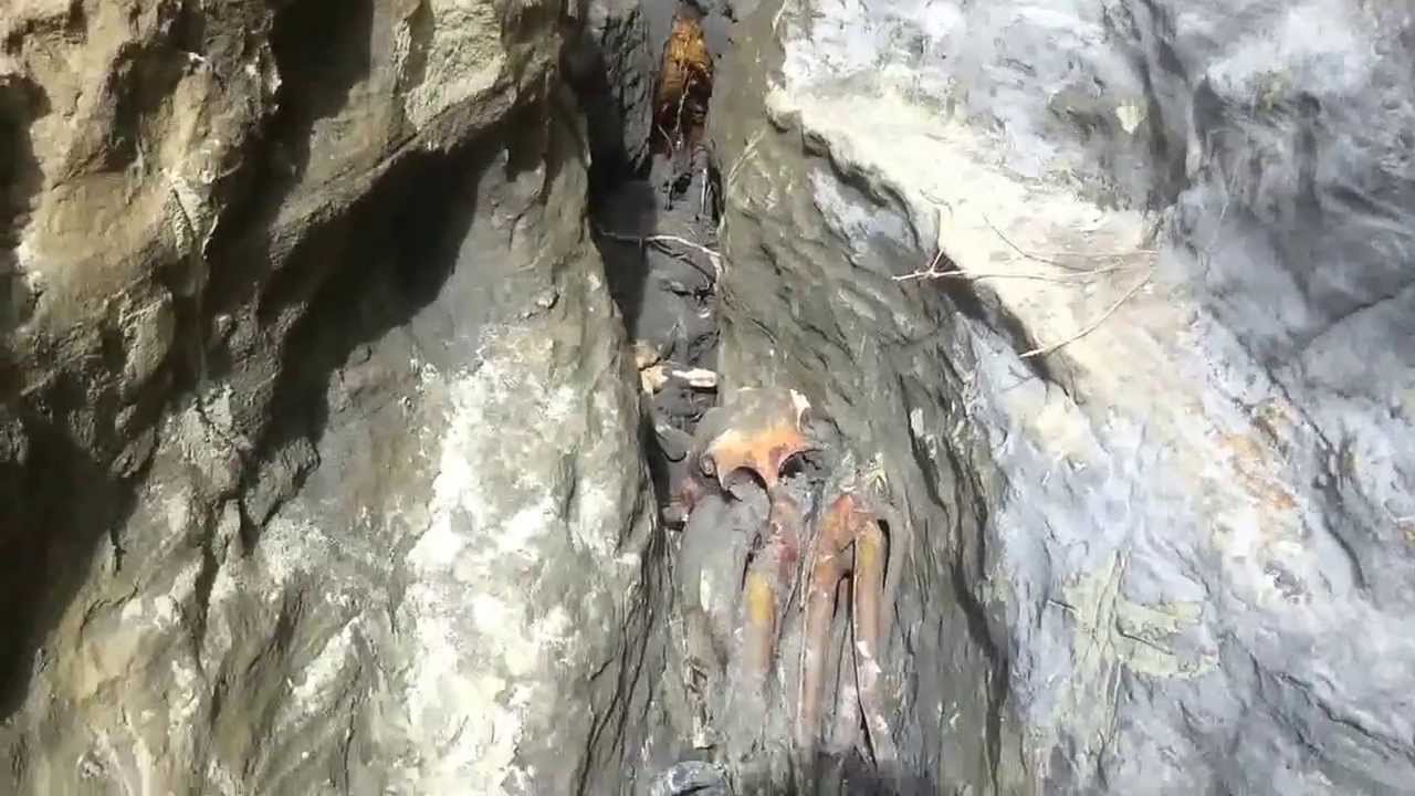 gold mining black sand new zealand