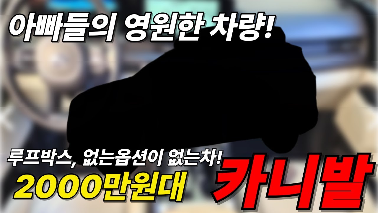 아빠들의 로망!! 루프박스는 덤으로 가져가세요!! 2천만원대 4세대 카니발!