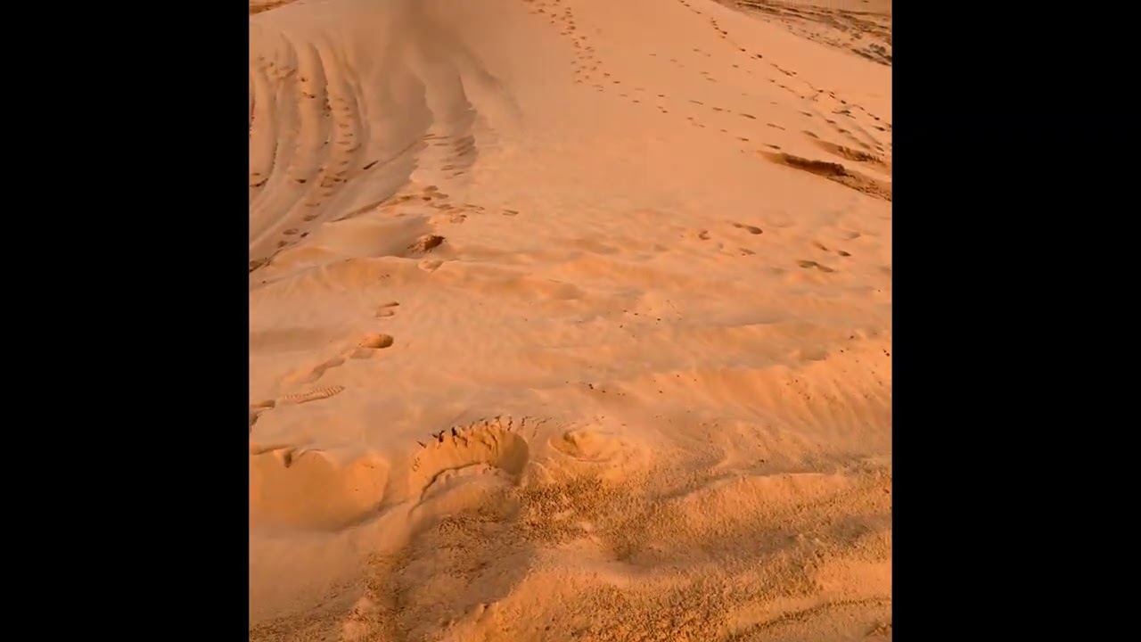 16 فبراير، 2026