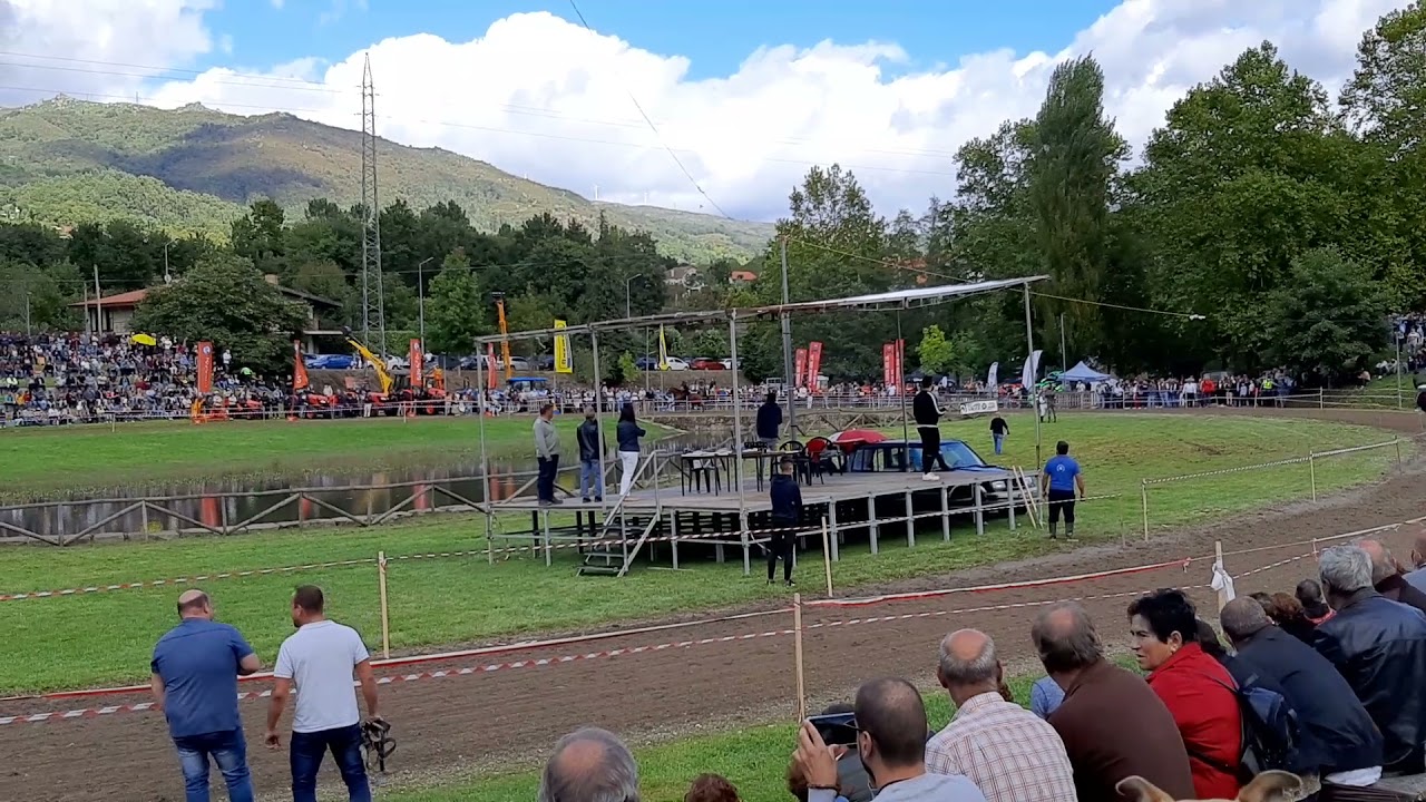Corrida de cavalos na festa 