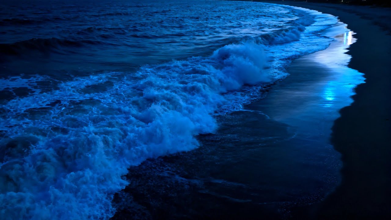 Ocean Sounds for Deep Sleep, Dark Screen Ocean Rest Loop