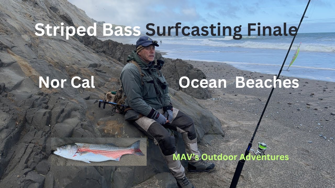 Striped Bass Surfcasting Fishing NorCal Ocean Beaches #stripedbass #surfcasting #stripedbassfishing