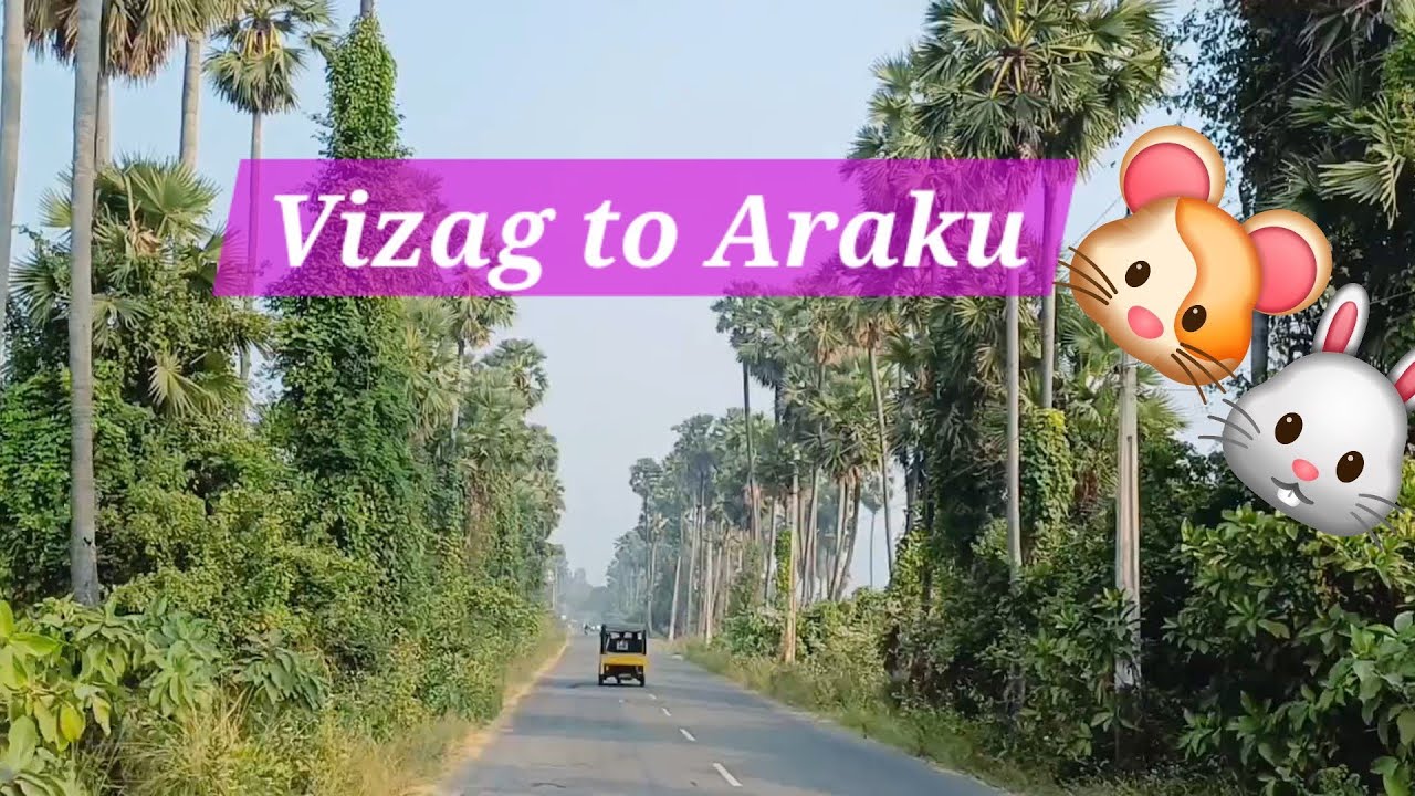 Visakhapatnam to Araku Valley Road Journey, Nice Trees and Lovely Weather.🤩♥️🌴🛣️ #travel #viral  