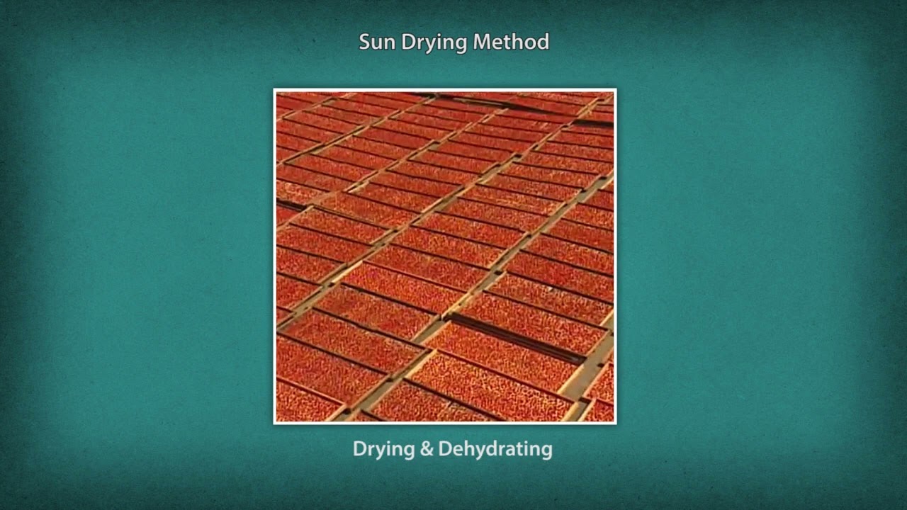 Drying and Dehydration Process - Fruits and Vegetables