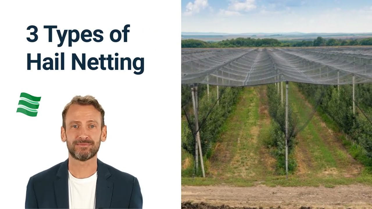 3 Types of Hail Netting | You Need to Know