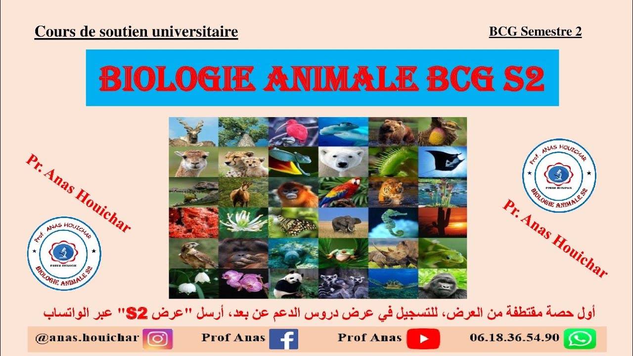 Biologie Animale BCG S2 / Chapitre I : Introduction à la Zoologie (Partie 1) شرح بالدارجة