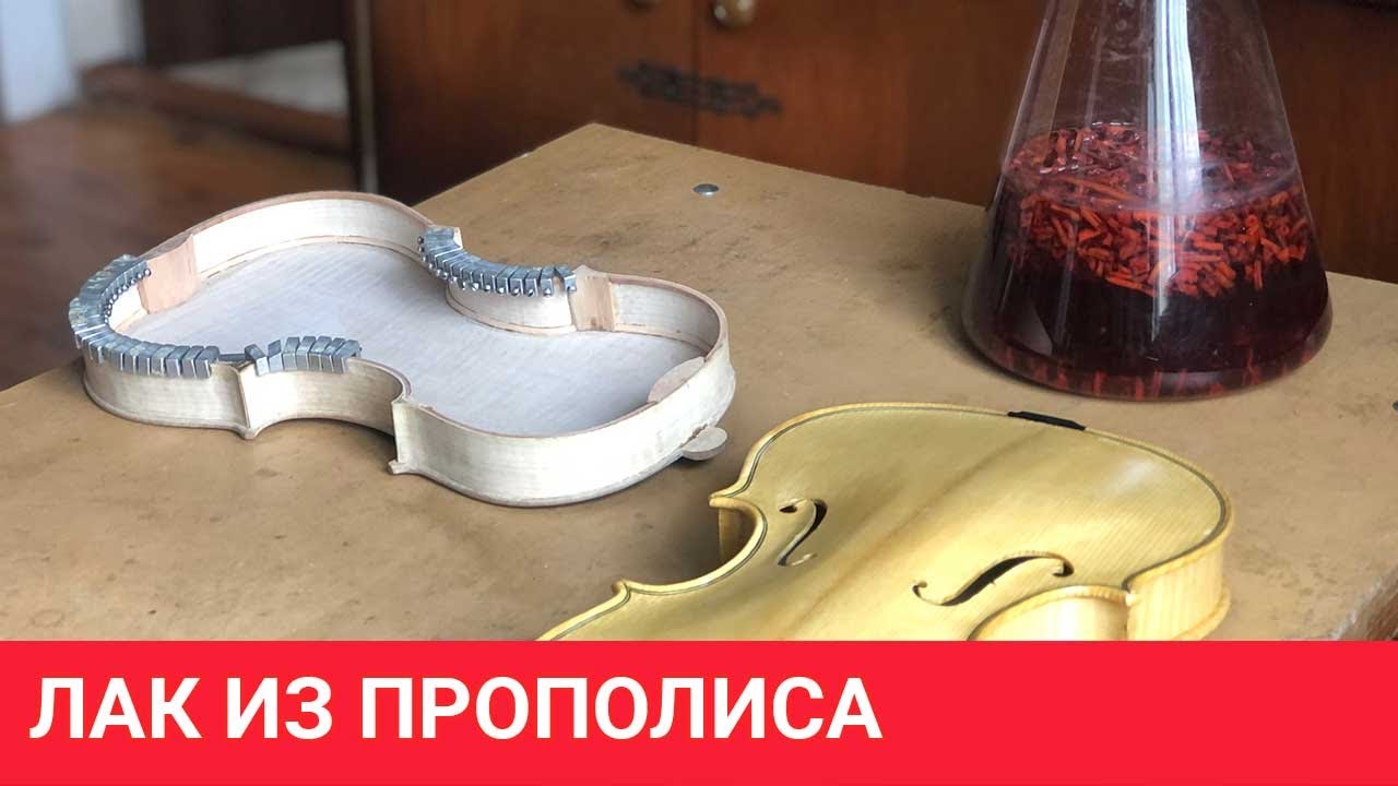 Лак Страдивари из прополиса
