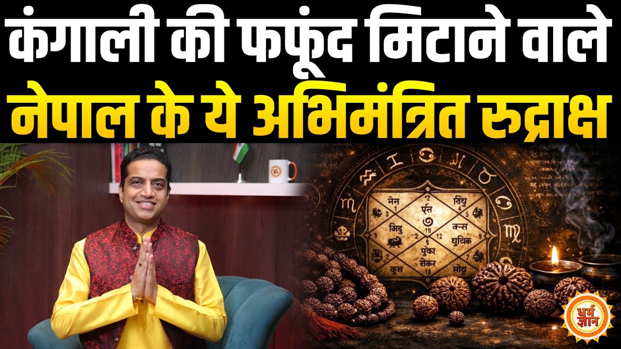 1 Mukhi Rudraksha, गौरी शंकर Rudraksha या 5 Mukhi Rudraksha क्यों और कैसे धारण करें ? Mayank Sharma
