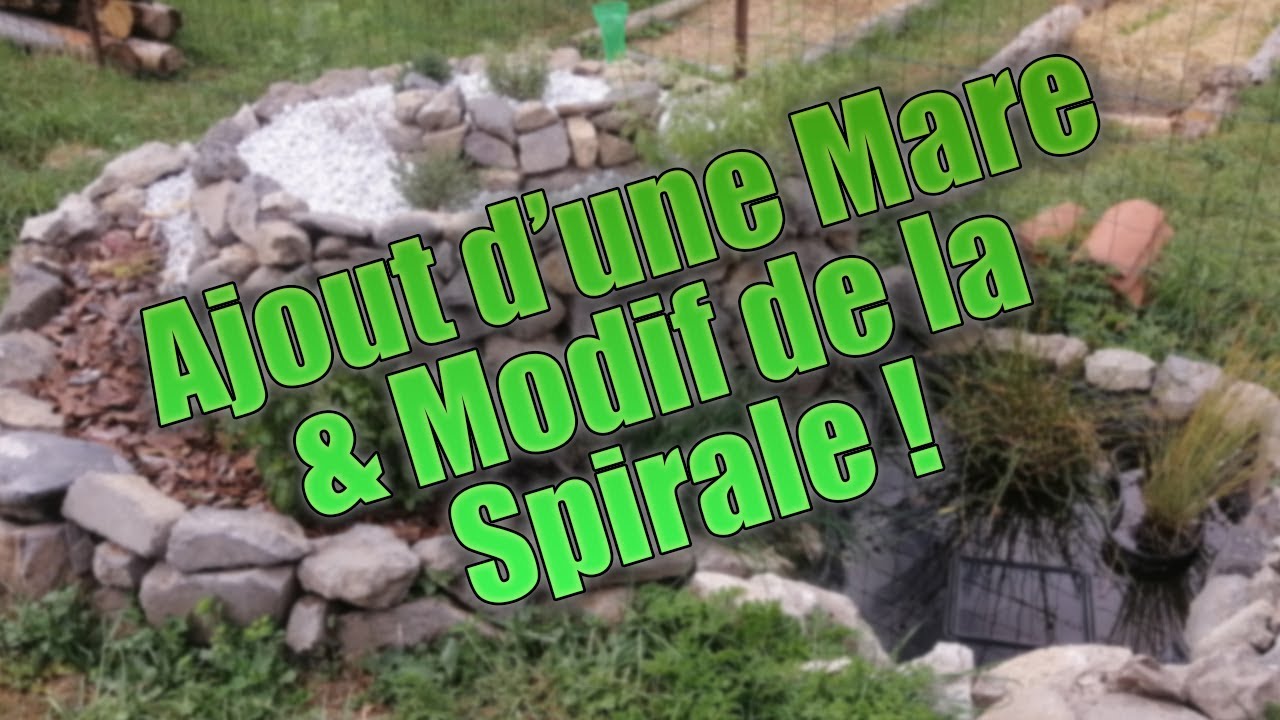 J'installe une mare dans mon jardin !