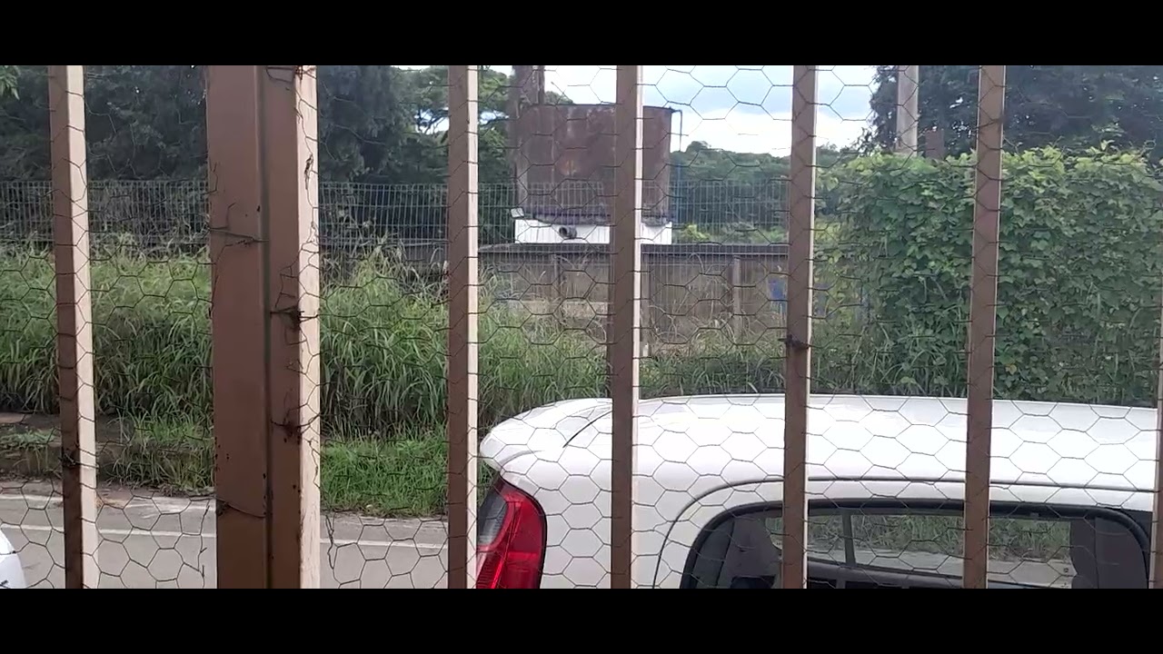Trem Prefixo C De Ferro Gusa Vazio Liderado Por SD40 Partindo Rumo Ao Terminal Kál-Sete Em ESL 