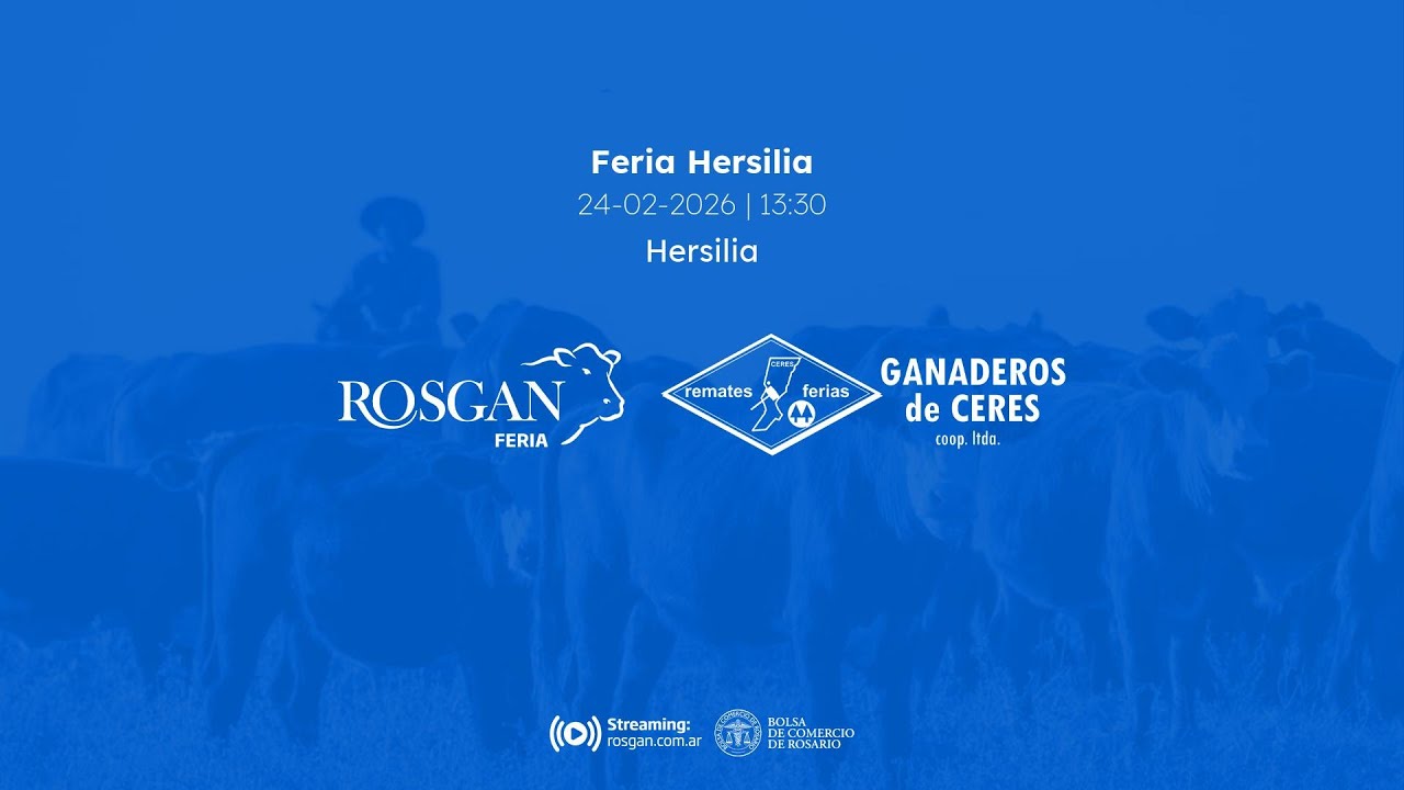 Feria Hersilia | Hersilia